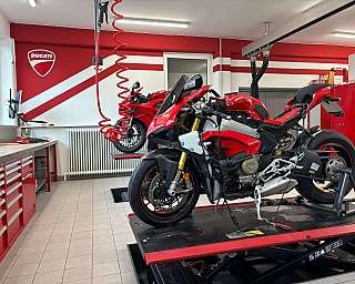 WhatsApp Image 2025 12 11 at 15.28.20