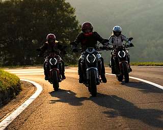 CLLBN C2207429 UC870118 low