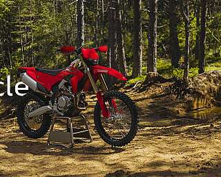 Duacti Desmo 450 EDS