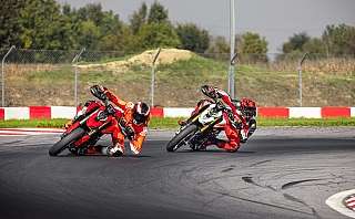 PB DUC 2590 UC870273 low